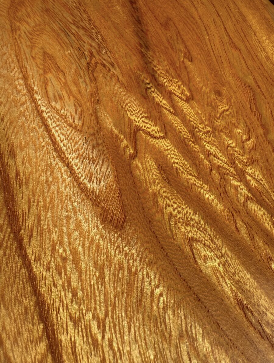 Wood and Wood奥京都の桧と欅/イベント出店情報 | 建築部ブログ | 奥京都・福知山で無垢材のデザイン建築 - Wood and ...
